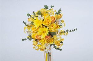 優良学歴を持つ相手と出会うための効果的な婚活術