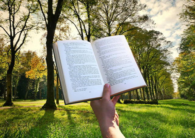 婚活初心者向け情報